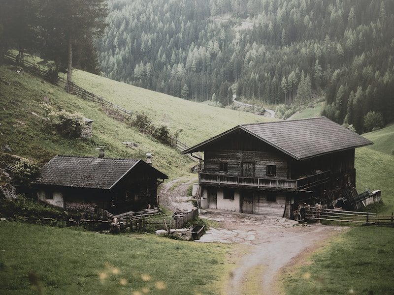 two brown wooden houses near mountain and trees at daytime