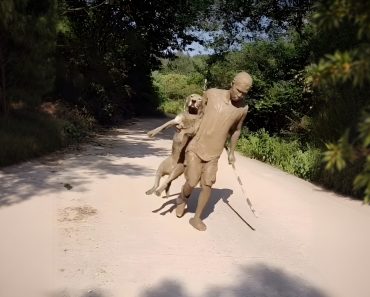 養狗勸退指南，汪星人讓人崩潰的搞笑瞬間